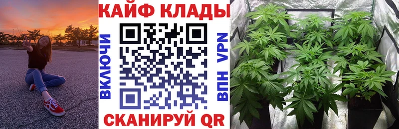 Наркошоп купить Амфетамин МЕФ Галлюциногенные грибы Марихуана Cocaine ГАШИШ Куртамыш
